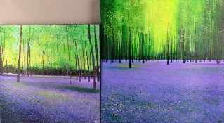 JOHN CONNOLLY (CONTEMPORARY) BRITISH, 'Morning Bluebells', a carpet of bluebells in a wood, an