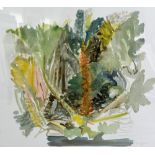 JOHN R MYERS (BRITISH, 20TH CENTURY) 'Gunnera' an original watercolour painting of a Gunnera