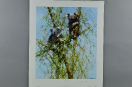 DAVID SHEPHERD (BRITISH 1931 - 2017) 'UP A GUM TREE', a limited edition print 140/950 of Koala Bears
