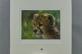 JOEL KIRK (BRITISH 1948) 'CUB SCOUT IV', a limited edition print of a Cheetah cub, 91/195, signed,