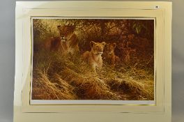 DICK VAN HEERDE (DUTCH 1954) 'MOTHERS PRIDE', a limited edition print 235/500 of a lioness and her