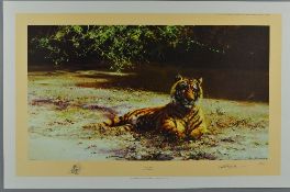 DAVID SHEPHERD (BRITISH 1931 - 2017) 'INDIAN SIESTA', a limited edition print of a Bengal Tiger