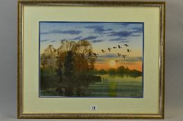 D.HADDOW (CONTEMPORARY), EVENING FLIGHT, geese over water at sunset, watercolour, signed lower