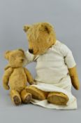 TWO DISTRESSED GOLDEN PLUSH TEDDY BEARS, vertical stitched nose, missing eyes, slight hump to