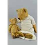 TWO DISTRESSED GOLDEN PLUSH TEDDY BEARS, vertical stitched nose, missing eyes, slight hump to