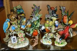 A COLLECTION OF BIRD ORNAMENTS, to include Royal Adderley 'Double Blue Tit', 'Grass Finch', two '