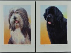NIGEL HEMMING (BRITISH 1957), two limited edition prints, 'Black Newfoundland' 27/200 and 'Bearded