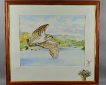 MARTIN C. NAUGHTON (CONTEMPORARY), OSPREY IN FLIGHT OVER A LOCH WITH A FISH IN IT'S TALONS,