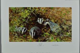 DAVID SHEPHERD (BRITISH 1931-1917) 'BADGERS', a limited edition print of a clan of badgers at the