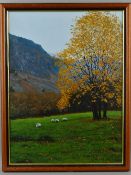 J.D.TRUMAN (BRITISH COMPEMPORARY) MOUNTAINOUS LANDSCAPE WITH SHEEP GRAZING IN LOWER PASTURE, oil