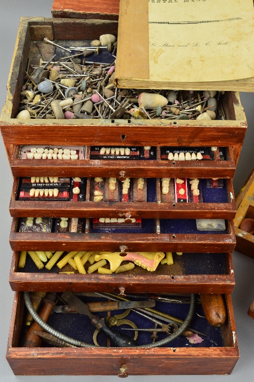 A COLLECTION OF DENTISTRY ITEMS, in three boxes to include plates, dentures, denture moulds, tooth - Image 2 of 5