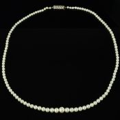 A LATE 20TH CENTURY AKOYA CULTURED PEARL NECKLACE, pearls graduating in size from 3.2mm to 6.3mm