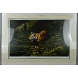 SPENCER HODGE (BRITISH 1943) 'COOLING OFF', a limited edition print 476/850, showing a Tiger