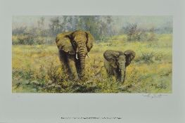 TONY FORREST (BRITISH 1961), 'VENTURING OUT', a limited edition print 472/500 of a pair of African