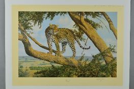 ANTHONY GIBBS (BRITISH 1951) 'MARA LOOKOUT', a limited edition print 118/1000 of a Leopard in a