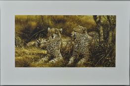 MICHAEL JACKSON (BRITISH 1961) 'CHEETAHS, a limited edition print 70/95 of a pair of cheetahs in the