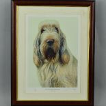 NIGEL HEMMING (BRITISH 1957) 'WHITE AND ORANGE ITALIAN SPINONE', a limted edition print 19/200 of an