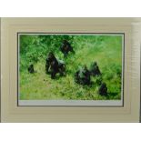 DAVID SHEPHERD (BRITISH 1931 - 2017) 'LOWLAND GORILLAS', a limited edition print 58/350 of a troop