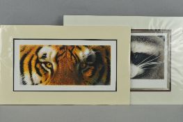 JOHN MOULD (BRITISH - CONTEMPORARY) 'EYE OF THE TIGER' AND 'EYE OF THE RACCOON', two limited edition