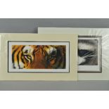JOHN MOULD (BRITISH - CONTEMPORARY) 'EYE OF THE TIGER' AND 'EYE OF THE RACCOON', two limited edition