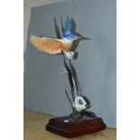 A DANBURY MINT DAVID FRYER BRONZE AND CERAMIC SCULPTURE OF A KINGFISHER, with water reeds and a