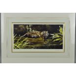 SPENCER HODGE (BRITISH 1943) 'WARNING', a limited edition print of a Tiger in water, 284/500, signed