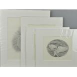 STEVE MACHIN (BRITISH CONTEMPORARY), four pencil drawings, signed by the artist, to include a