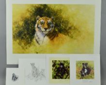 DAVID SHEPHERD (1931 - 2017), 'WORKING SKETCH FOR A PAINTING OF A TIGER', a limited edition print