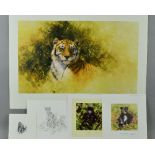 DAVID SHEPHERD (1931 - 2017), 'WORKING SKETCH FOR A PAINTING OF A TIGER', a limited edition print