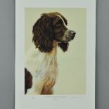 NIGEL HEMMING (BRITISH 1957) 'LIVER AND WHITE ENGLISH SPRINGER SPANIEL', a limited edition print
