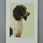 NIGEL HEMMING (BRITISH 1957) 'LIVER AND WHITE ENGLISH SPRINGER SPANIEL', a limited edition print