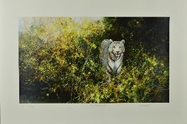 DAVID SHEPHERD (BRITISH 1931 - 2017) 'THE WHITE TIGER OF REWA', a limited edition print 265/350 of a