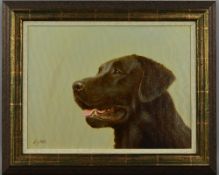 JOHN SILVER (BRITISH 1959), 'Chocolate Labrador', an oil on canvas painting of the head of a dog,