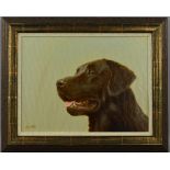 JOHN SILVER (BRITISH 1959), 'Chocolate Labrador', an oil on canvas painting of the head of a dog,