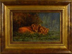 TONY FORREST (BRITISH CONTEMPORARY), 'Snug As A Bug', an oil on canvas painting of a pair of Lion