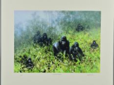 DAVID SHEPHERD (1931-2017), 'In The Mists of Rwanda', A Limited Edition print, 15/250, of a Troop of
