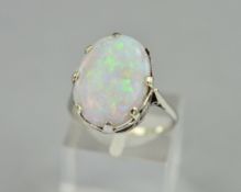 A LATE 20TH CENTURY LARGE WHITE OPAL SINGLE STONE RING, oval cabochon cut opal measuring