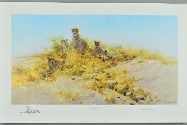 DAVID SHEPHERD (BRITISH 1931-2017), 'Cheetahs of Namibia', A Limited Edition print, 583/1000, signed