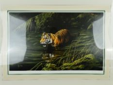 SPENCER HODGE (BRITISH 1943), 'Cooling Off', A Limited Edition print of a Tiger wading through
