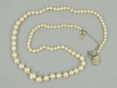 A LATE 20TH CENTURY AKOYA CULTURED PEARL NECKLACE, cultured pearls graduating in size from 4.2mm -