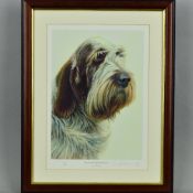 NIGEL HEMMING (BRITISH 1957) 'BROWN ROAN ITALIAN SPINONE', a limited edition print 13/200, signed in