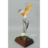 A DANBURY MINT DAVID FRYER BRONZE AND CERAMIC SCULPTURE OF A KINGFISHER, with water reeds and a