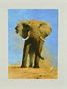DAVID SHEPHERD (BRITISH 1931-2017) 'My Savati Friend' a limited edition print 35/350 of a bull