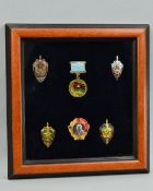 A SMALL GLAZED FRAME CONTAINING A NUMBER OF KGB RELATED RUSSIAN INSIGNIA, which are all