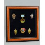 A SMALL GLAZED FRAME CONTAINING A NUMBER OF KGB RELATED RUSSIAN INSIGNIA, which are all