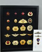 A GLAZED FRAME CONTAINING A NUMBER OF RUSSIAN/USSR MILITARY CAP BADGES, COLLAR DEVICES AND INSIGNIA,