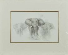 DAVID SHEPHERD (BRITISH 1931 - 2017), 'ELEPHANTS - PENCIL DRAWING', a limited edition print 562/950,