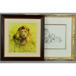 DAVID SHEPHERD (BRITISH 1931-2017) 'LIONS', a limited edition print 300/495, signed and numbered
