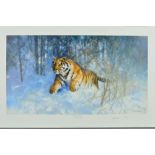 DAVID SHEPHERD (BRITISH 1931 - 2017) 'TIGER IN THE SNOW', a limited edition print 75/950, signed and