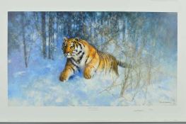 DAVID SHEPHERD (BRITISH 1931 - 2017) 'TIGER IN THE SNOW', a limited edition print 75/950, signed and